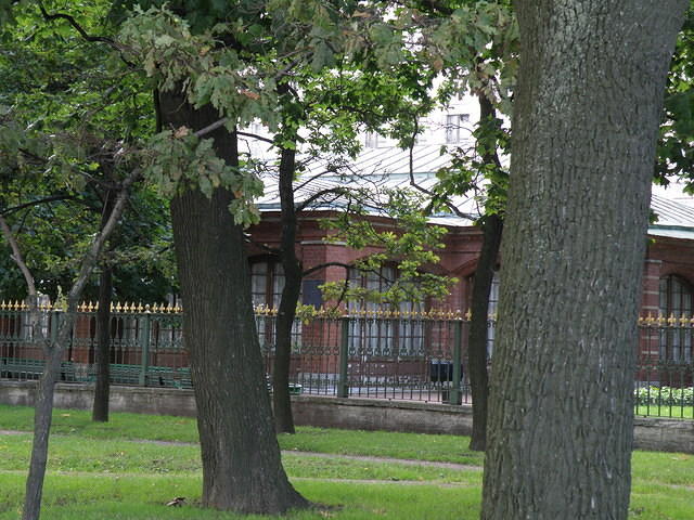 P8290294