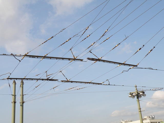 P8290317
