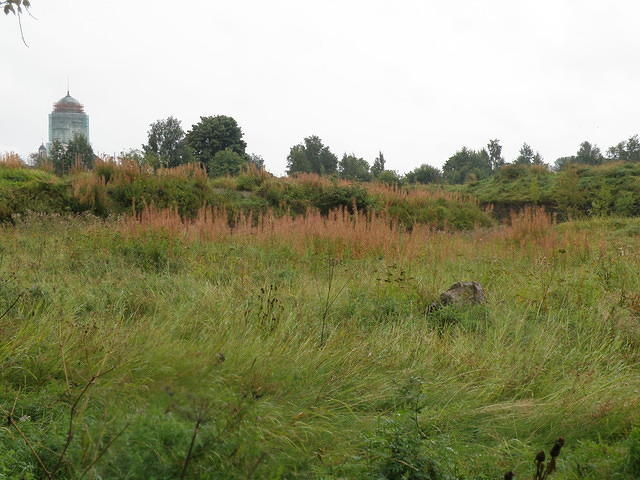 P8300423