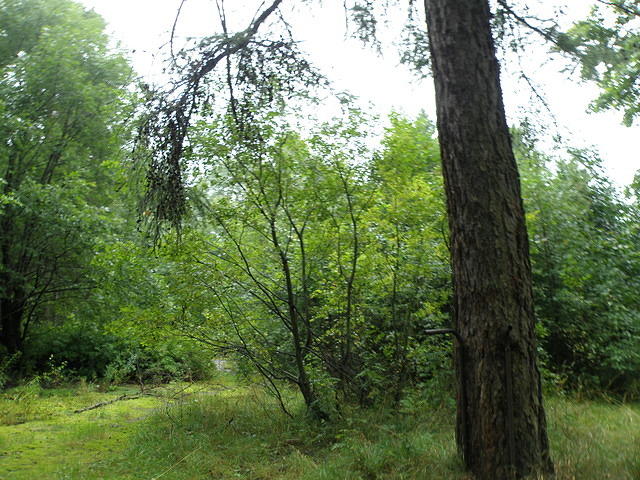 P8300436