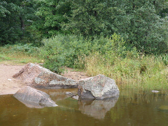 P8300446