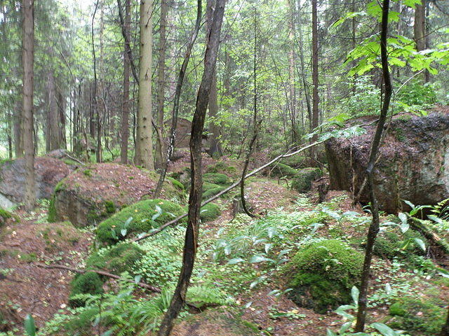 P8300447