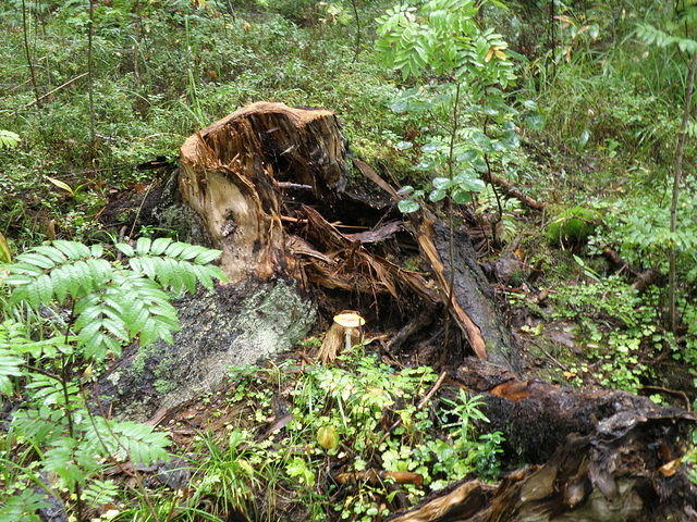 P8300474