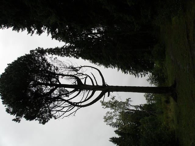 P8300484