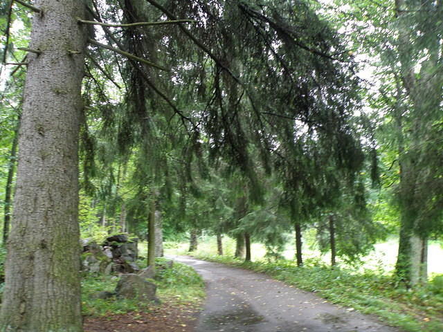 P8300494