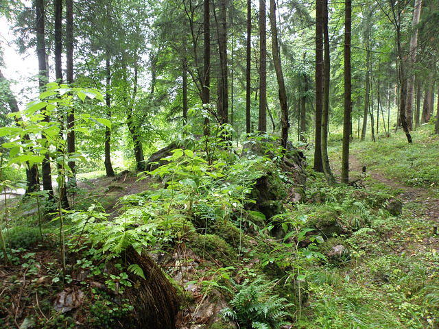 P8300496