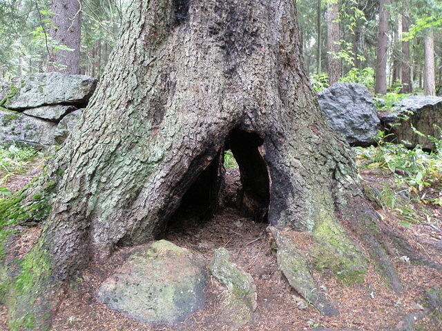 P8300498