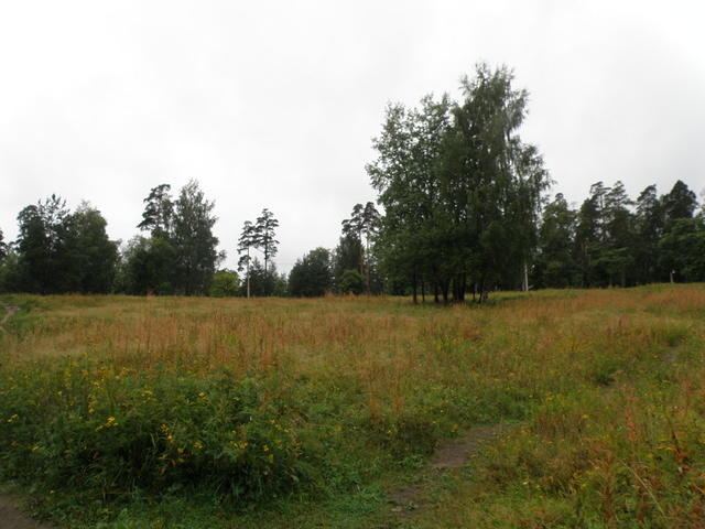 P8300499