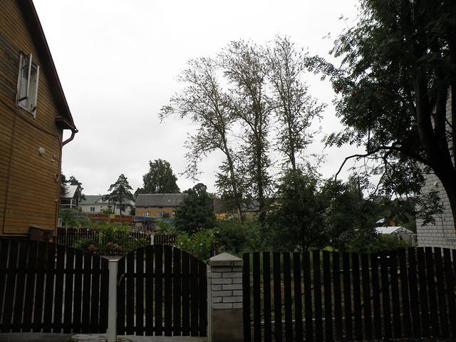 P8300508