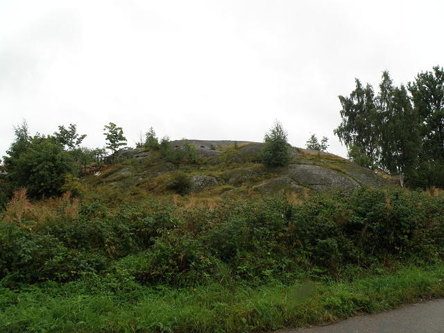 P8300509