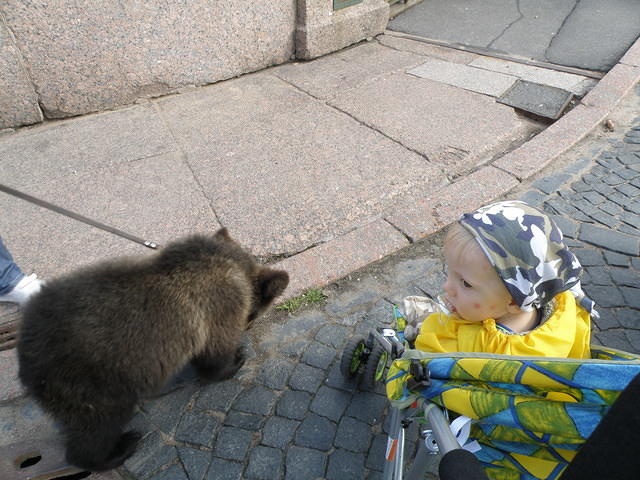 P8310047