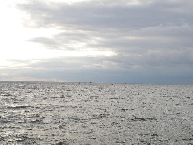 P8310188