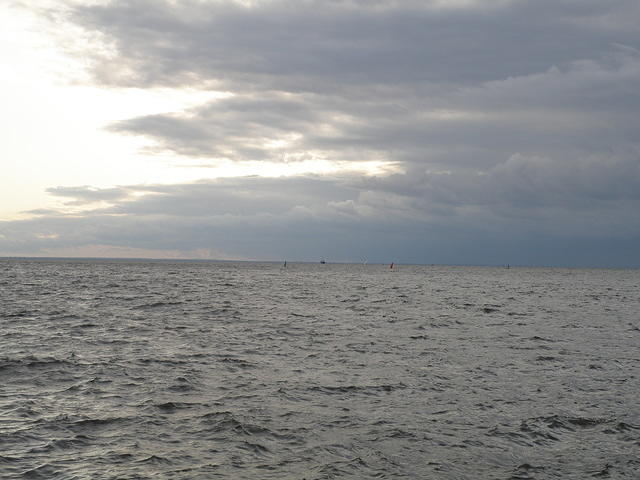 P8310189