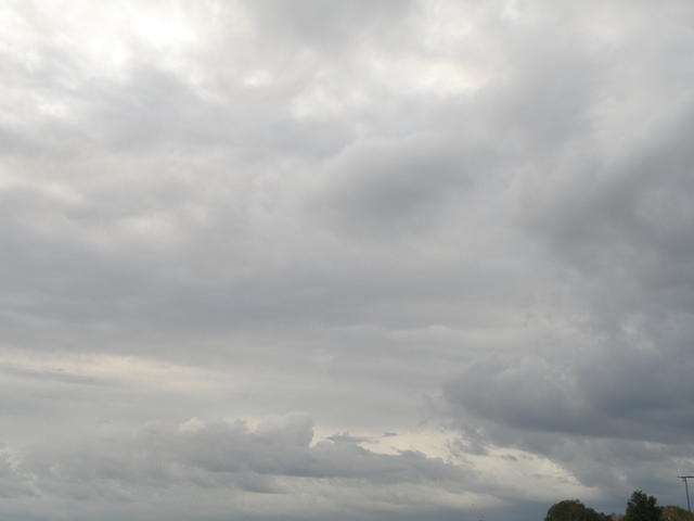P8310198