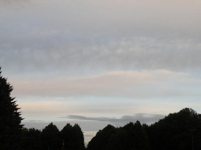 P8310201