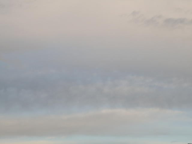 P8310202