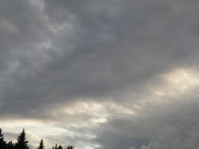 P8310203
