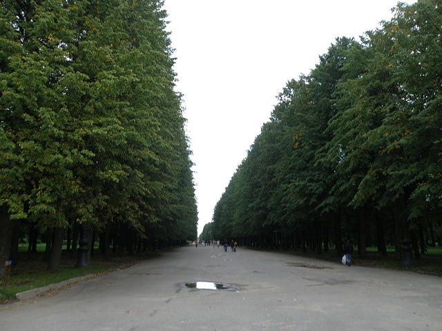 P8310204