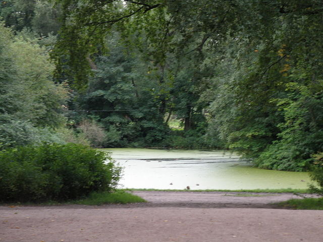 P8310215