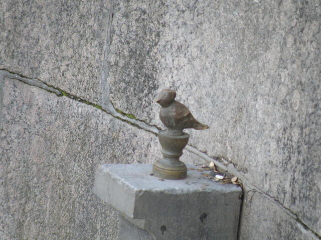 P8310593