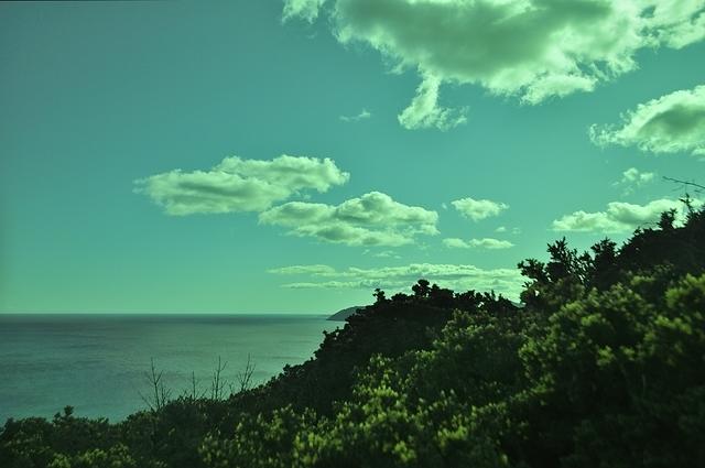  DSC8577