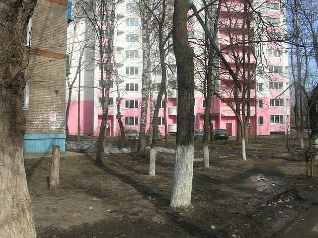 DSCN4746