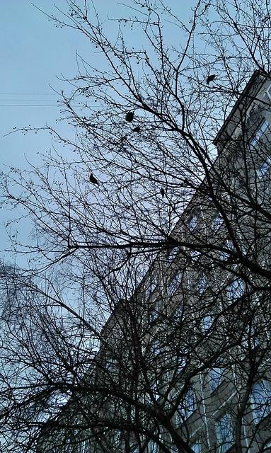 IMAG0864