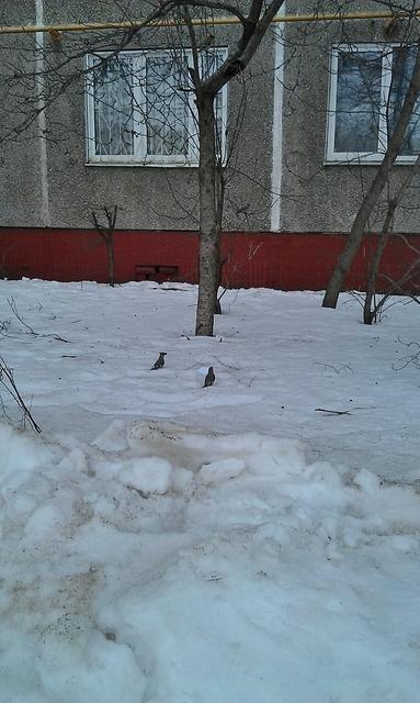IMAG0866