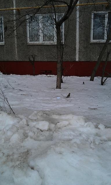 IMAG0869