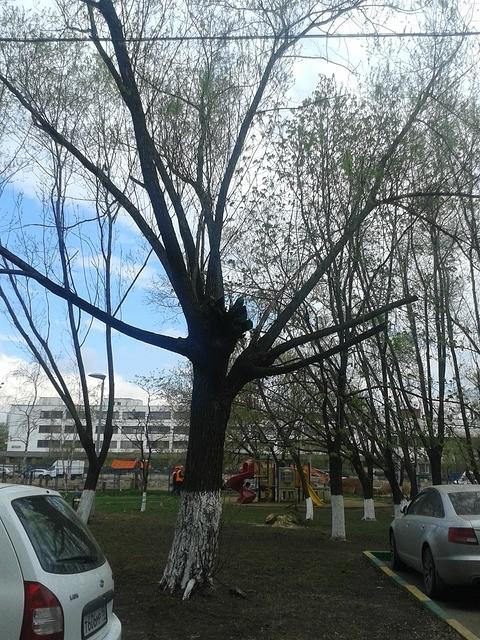 20140423 113034