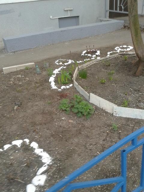 20140427 071919