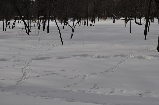 DSC1472 339277
