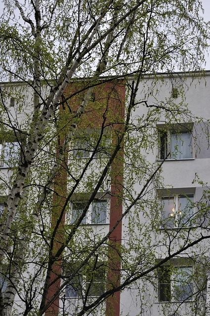 DSC5498