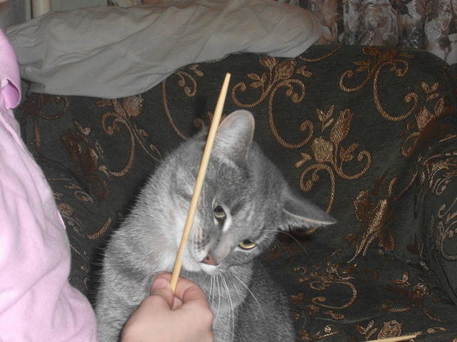 DSCF1125