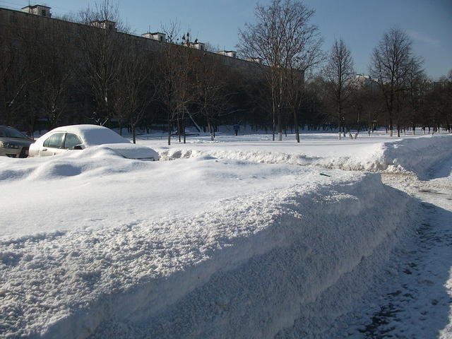DSCF1133