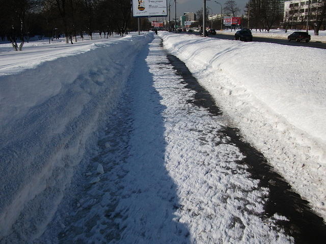 DSCF1134