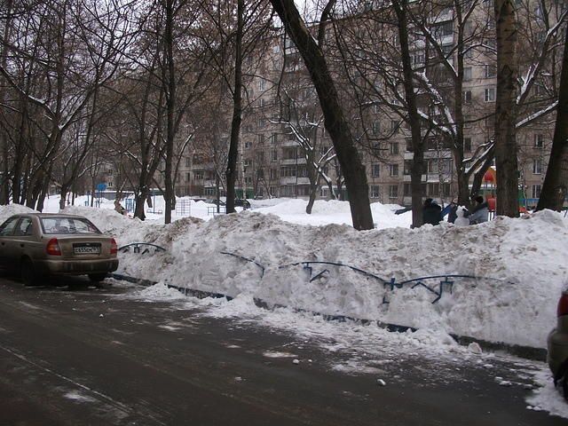 DSCF1146