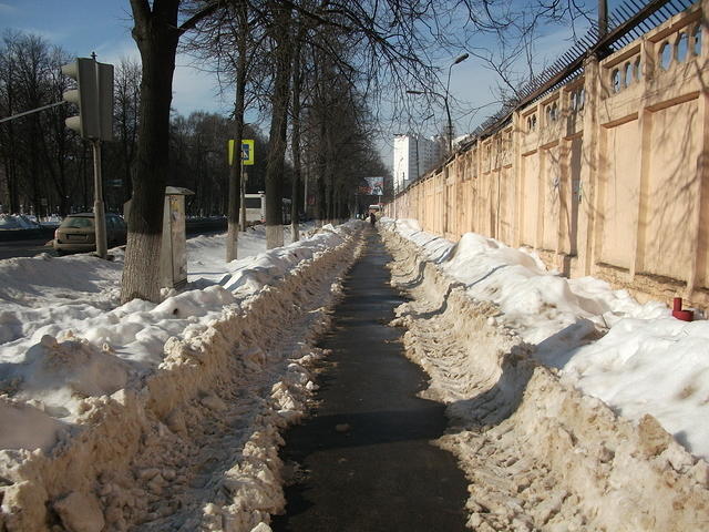 DSCF1555