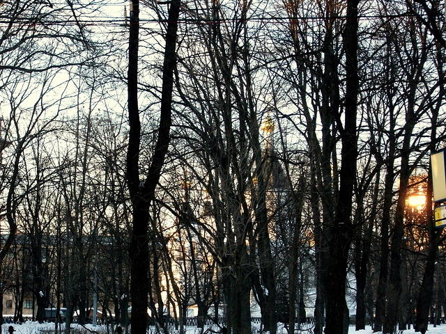 DSCF4778