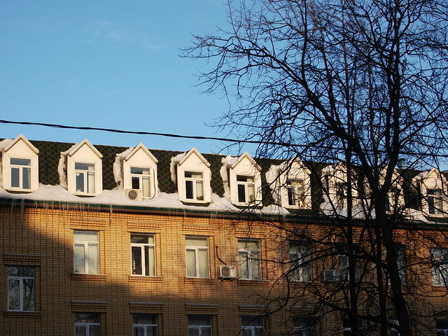 DSCF4782