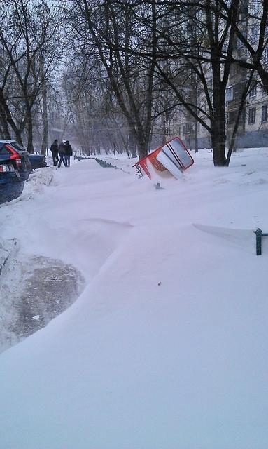 IMAG0800