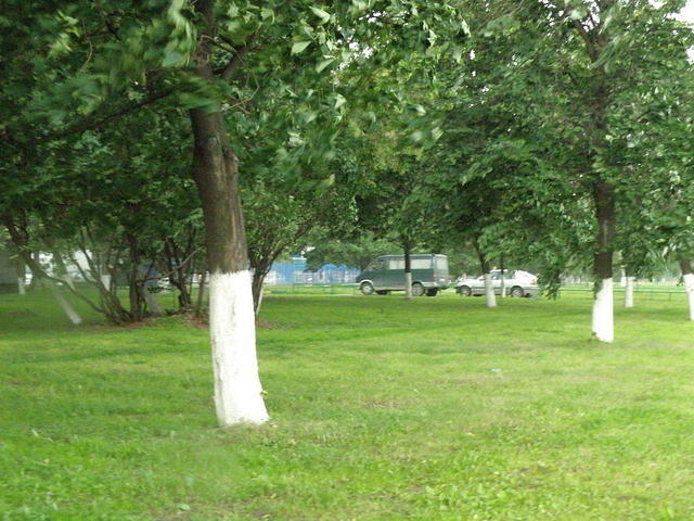 P6130820