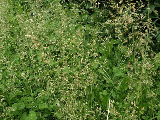 P6170909