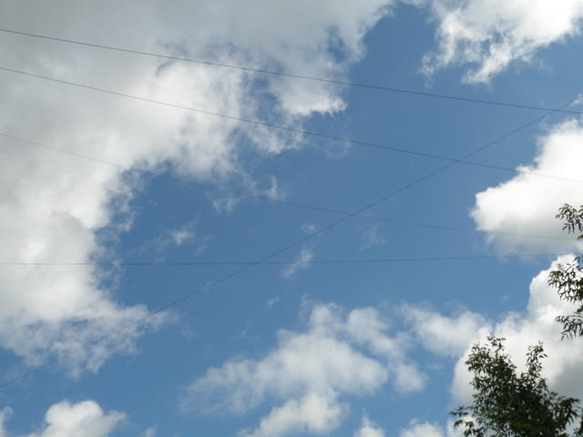 P6170962