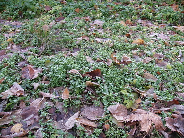 PB072798