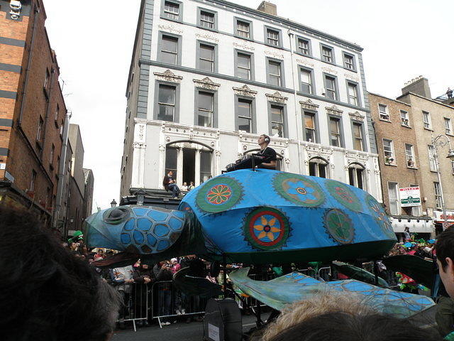 P3171106