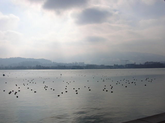 DSCN3228
