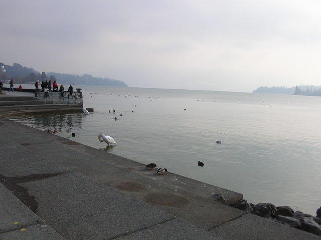 DSCN3231
