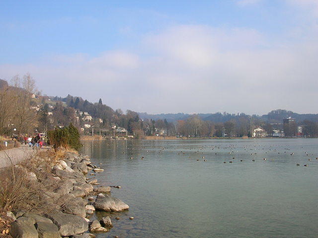 DSCN3232