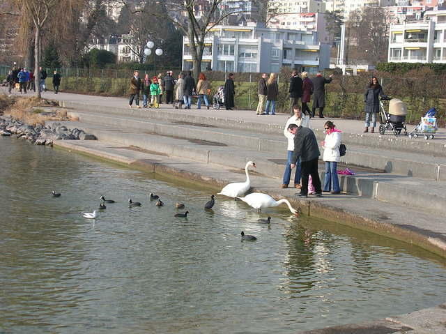 DSCN3241